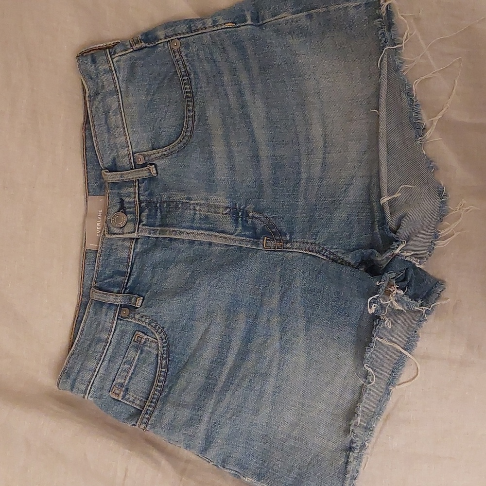 Everlane Cheeky Denim Shorts